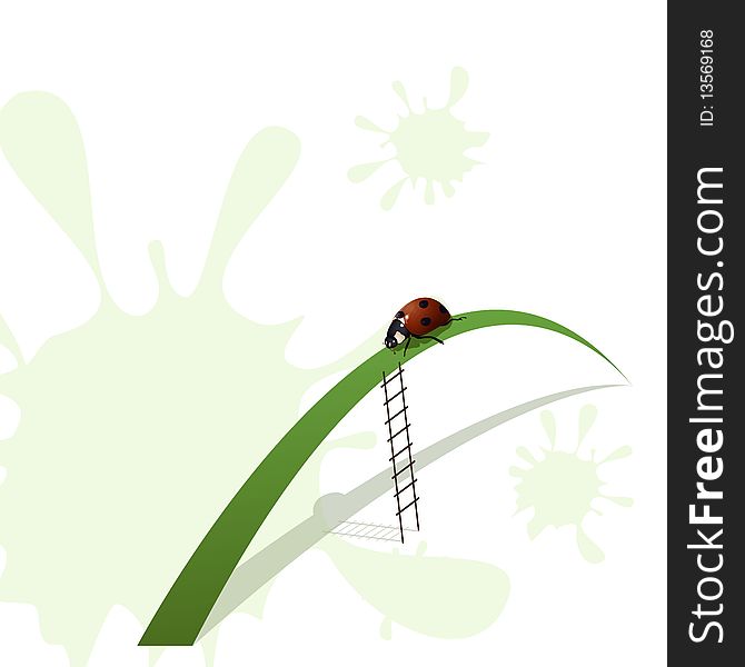 Illustration, Ladybird on blade of grass with stairway. Illustration, Ladybird on blade of grass with stairway