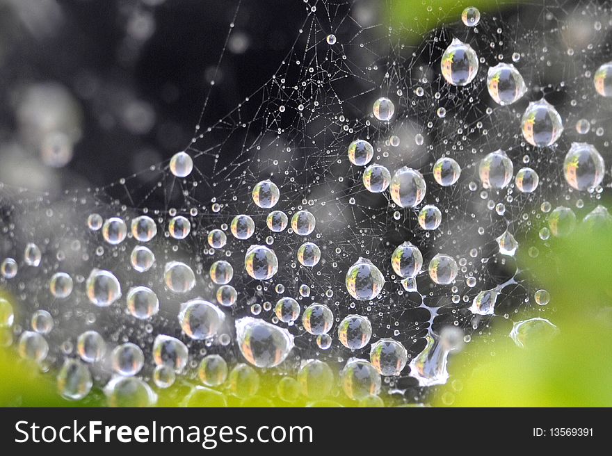 Macro shot on spider net that with water drops. Macro shot on spider net that with water drops.