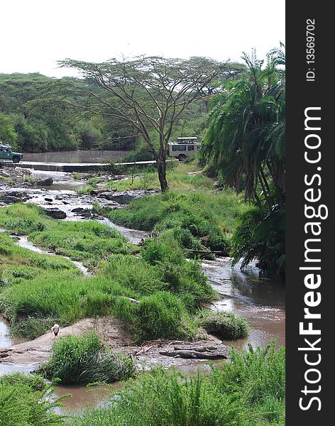 Safari trucks cross a river in the Serengeti, whilst Nile Crocodiles bask in the sun downstream. Safari trucks cross a river in the Serengeti, whilst Nile Crocodiles bask in the sun downstream.