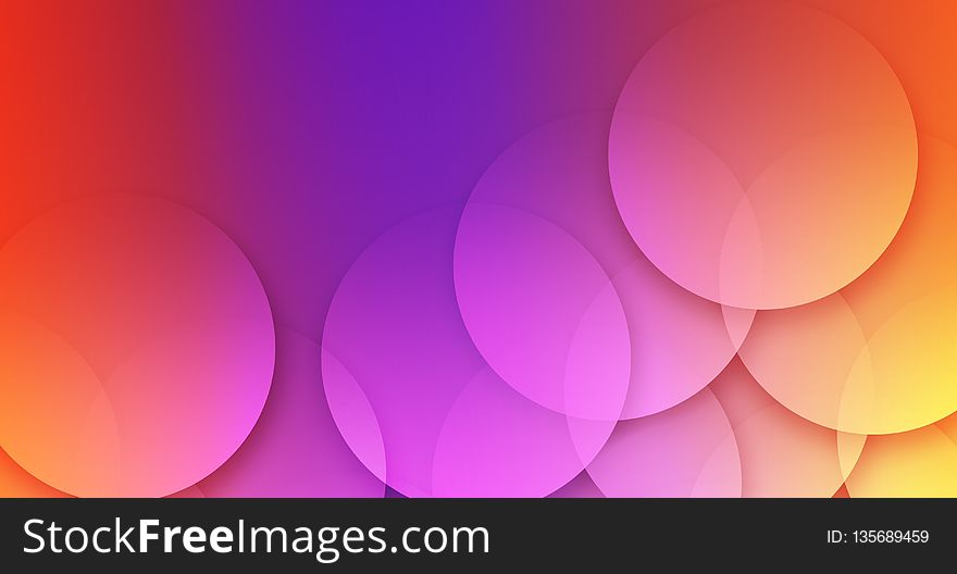 Pink, Orange, Purple, Petal