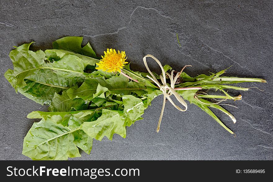 Plant, Leaf, Flower, Flora