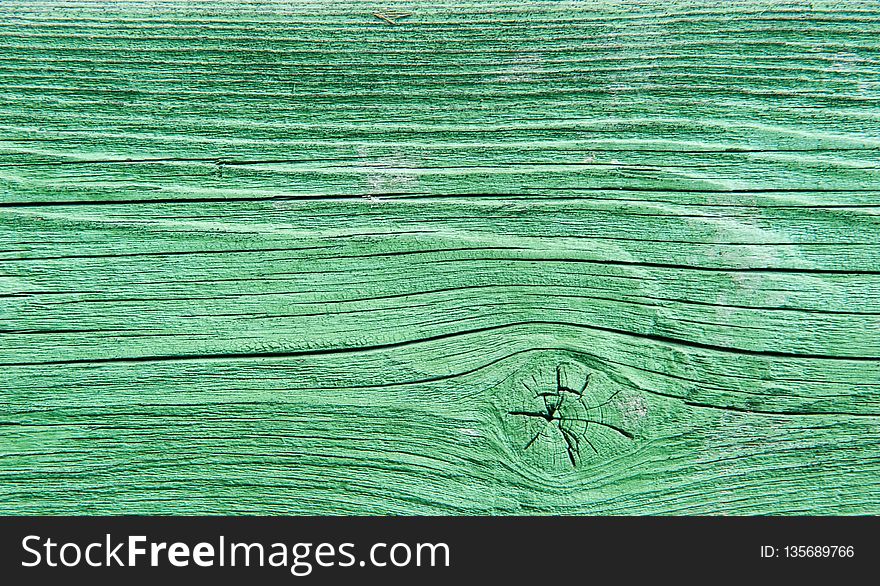 Green, Wood, Line, Grass