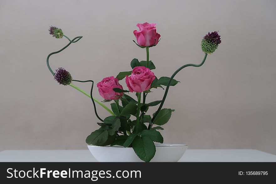 Flower, Vase, Ikebana, Flowerpot