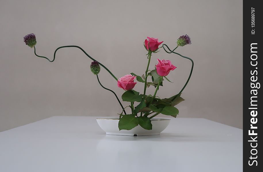 Flower, Ikebana, Vase, Flowerpot