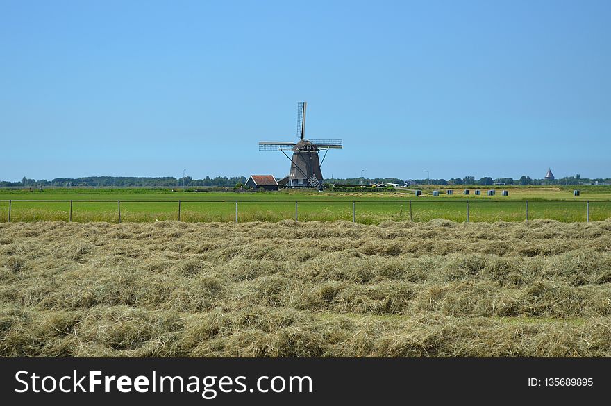 Windmill, Grassland, Field, Grass Family