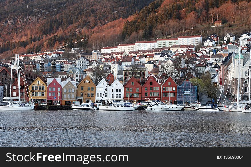 Water, Winter, Harbor, Snow