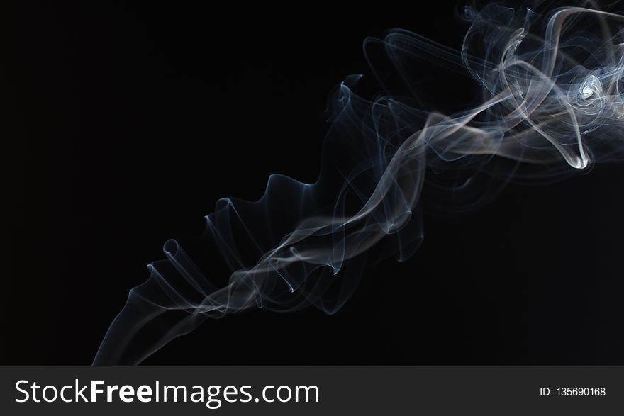 Smoke, Organism, Computer Wallpaper, Darkness