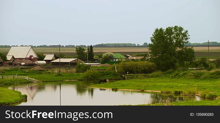 Pasture, Farm, Nature Reserve, Grassland