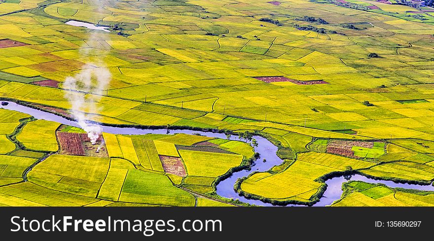 Yellow, Field, Aerial Photography, Bird S Eye View