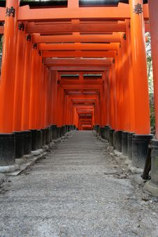 Red Torii Gates Japan Royalty Free Stock Images Red Torii Gates Japan Royalty Free Stock Images
