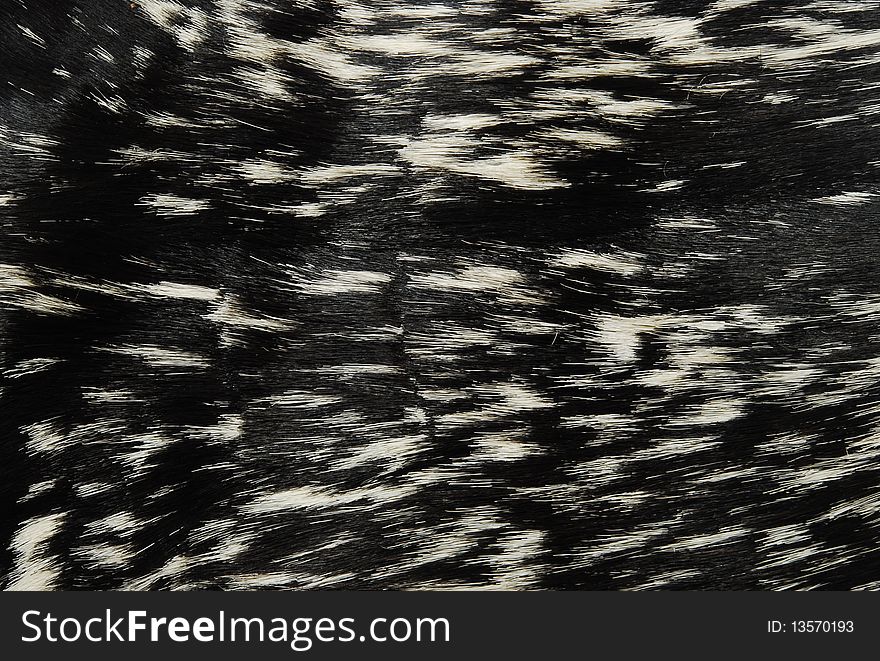 This is a beautiful goat leather skin texture.