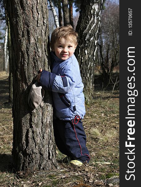 A little boy on a walk in the park