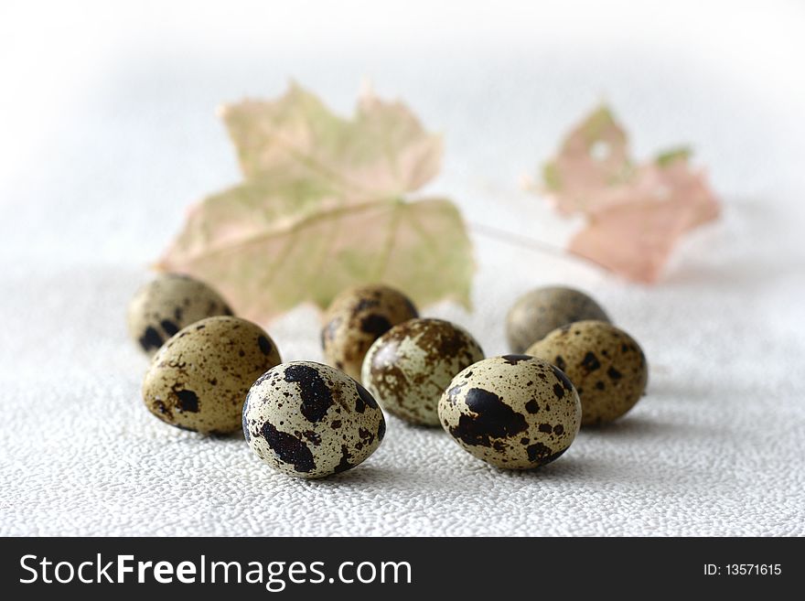 Group of quail eggs close-up on white backgraund