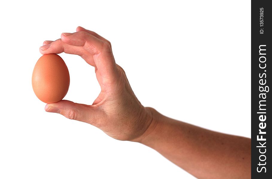 Hand holding brown egg isolated on white background