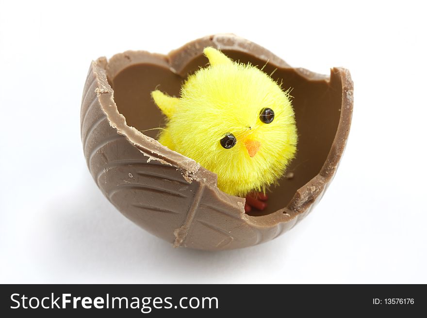 Easter chick inside a broken chocolate easter egg