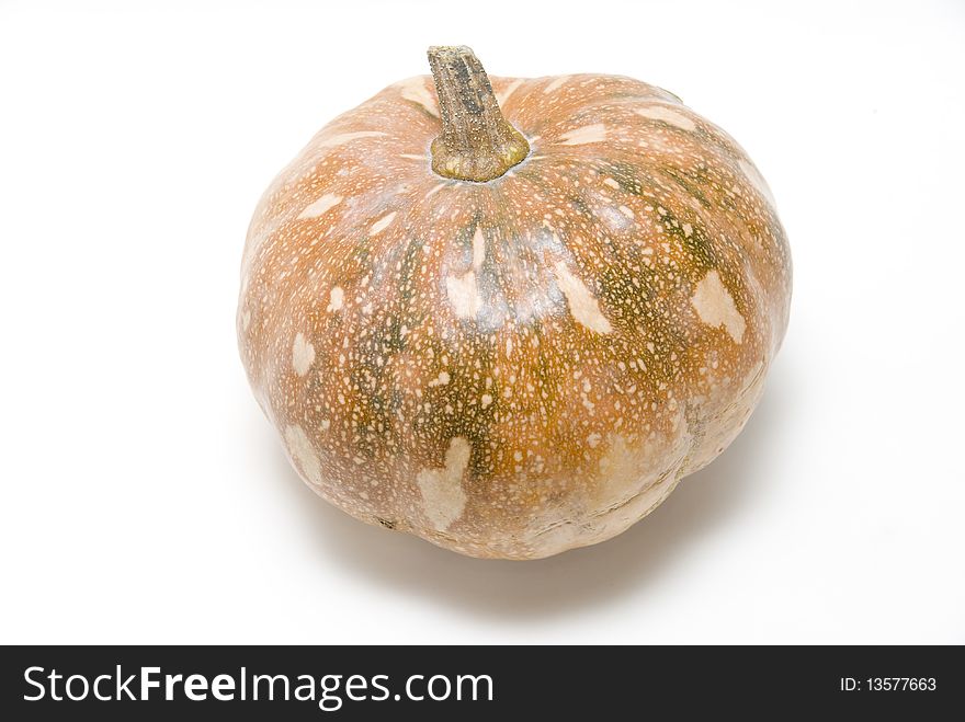 The organic pumpkin on the white background