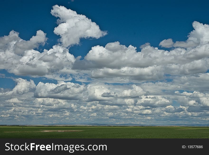 Fluffy white clouds in deep blue sky over green prairie corp or pasture land. Fluffy white clouds in deep blue sky over green prairie corp or pasture land