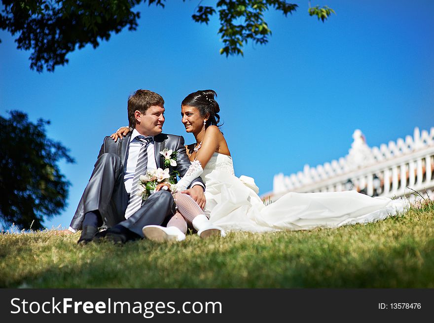 Happy bride and groom on grass in park on background of sky. Happy bride and groom on grass in park on background of sky