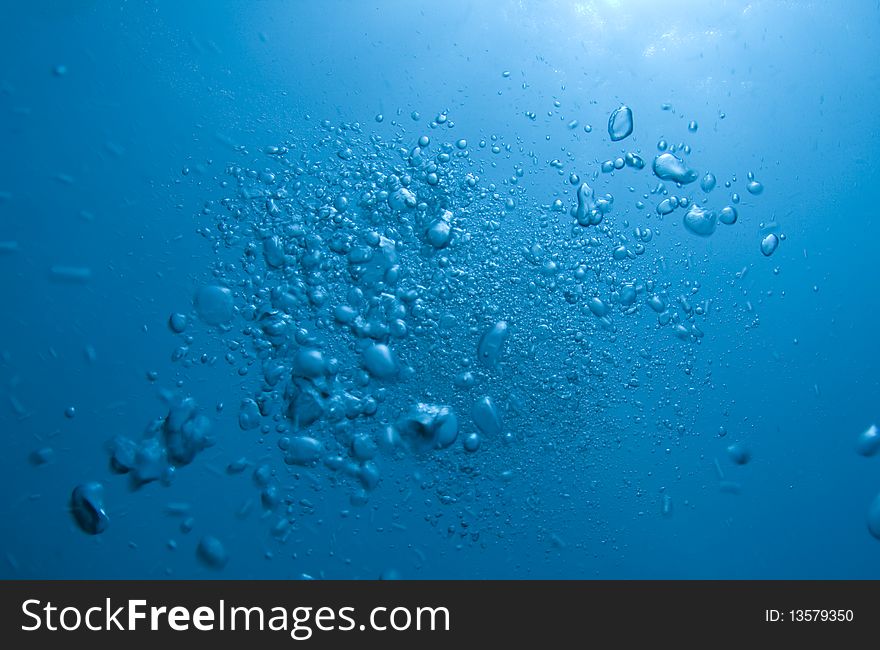 Bubbles from a SCUBA diver rising to the surface