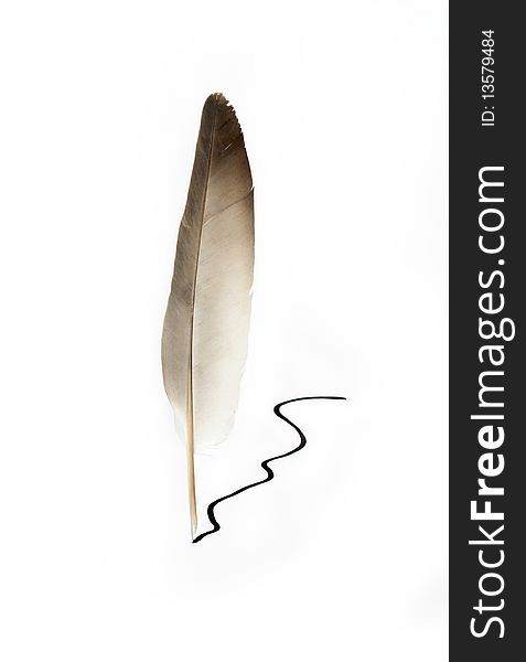 Feather standing near black ink line. Isolated on white with clipping path. Feather standing near black ink line. Isolated on white with clipping path