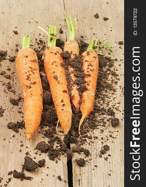 Fresh carrots and soil on old rustic wood. Fresh carrots and soil on old rustic wood