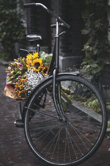 Bicycle With Sunflowers Royalty Free Stock Photos