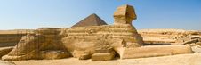 Sphinx And Pyramid Stock Images