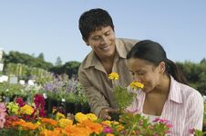 Couple Shopping At Plant Nursery Royalty Free Stock Image Couple Shopping At Plant Nursery Royalty Free Stock Image