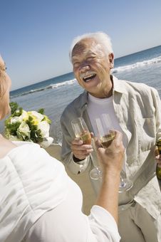 Senior Newly Weds Toasting Champagne Royalty Free Stock Image Senior Newly Weds Toasting Champagne Royalty Free Stock Image