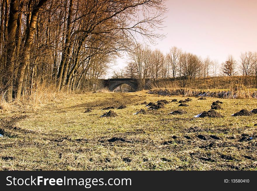 Edge of the field in spring and a bridge in the distance.