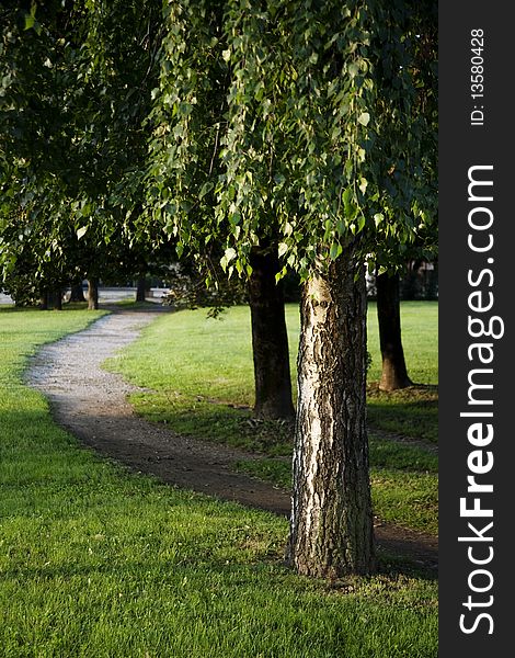 Path in the park in spring time