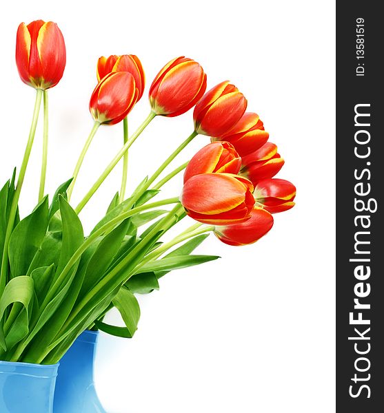 Fresh Tulips In Boots