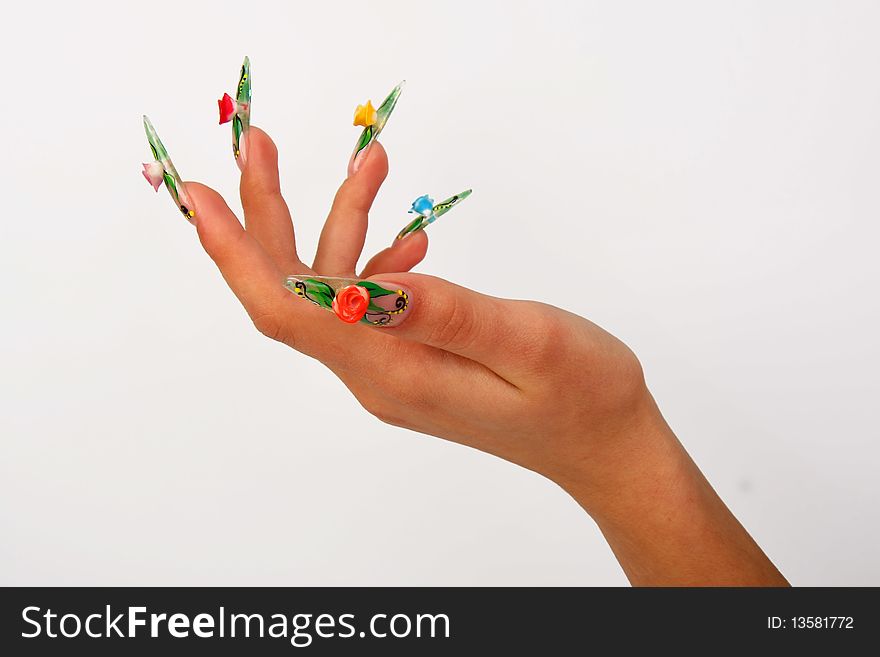 Nails hands, woman gentle, flower, accurate, manicure dangerous