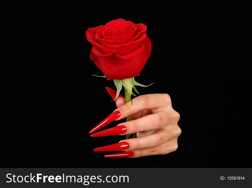 Nails hands, woman gentle, flower, accurate, manicure dangerous