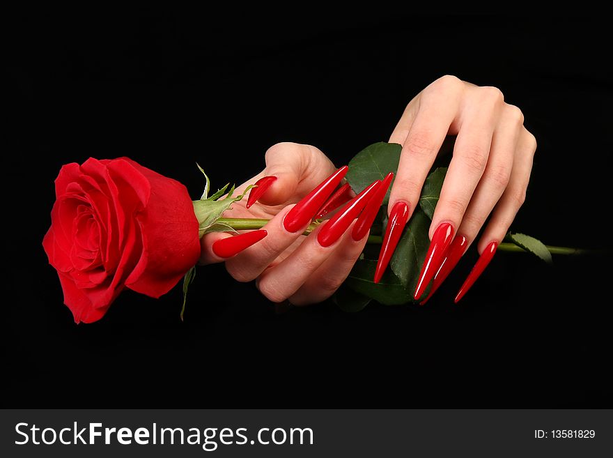 Nails hands, woman gentle, flower, accurate, manicure dangerous