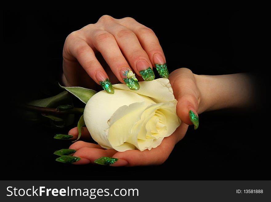 Nails hands, woman gentle, flower, accurate, manicure dangerous