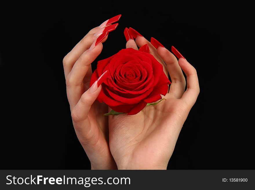 Nails hands, woman gentle, flower, accurate, manicure dangerous