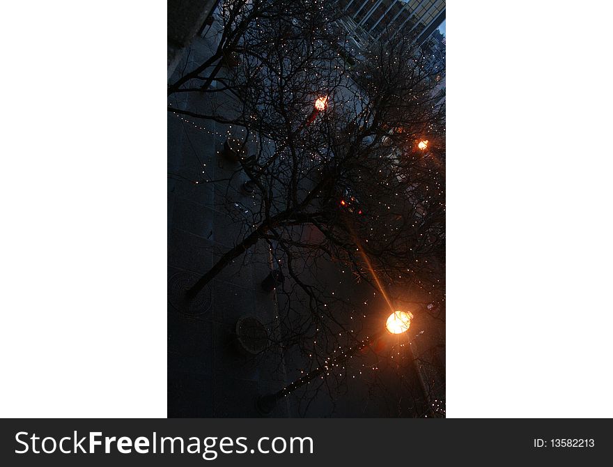 Small town street at dusk with white lights in trees and street lights