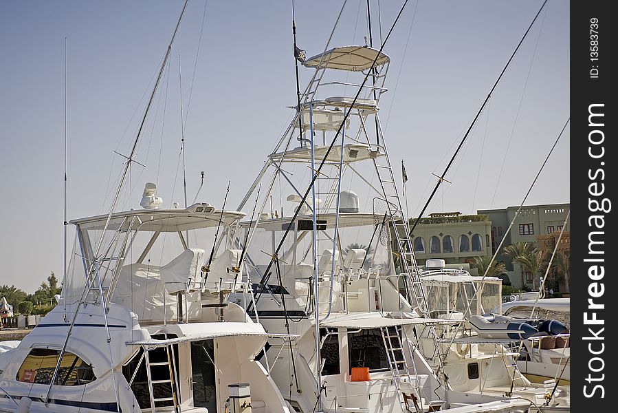 Sport fishing boats in a marina