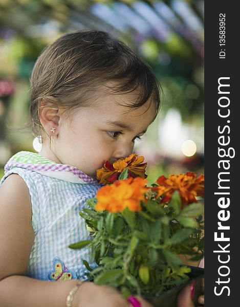 Young Girl Smelling Marigold Flowers