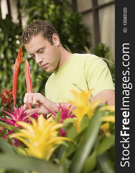 Young man looking at exotic potted plants in greenhouse