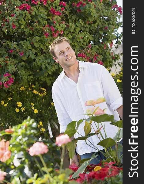 Young man pushing wheelbarrow with plants, smiling