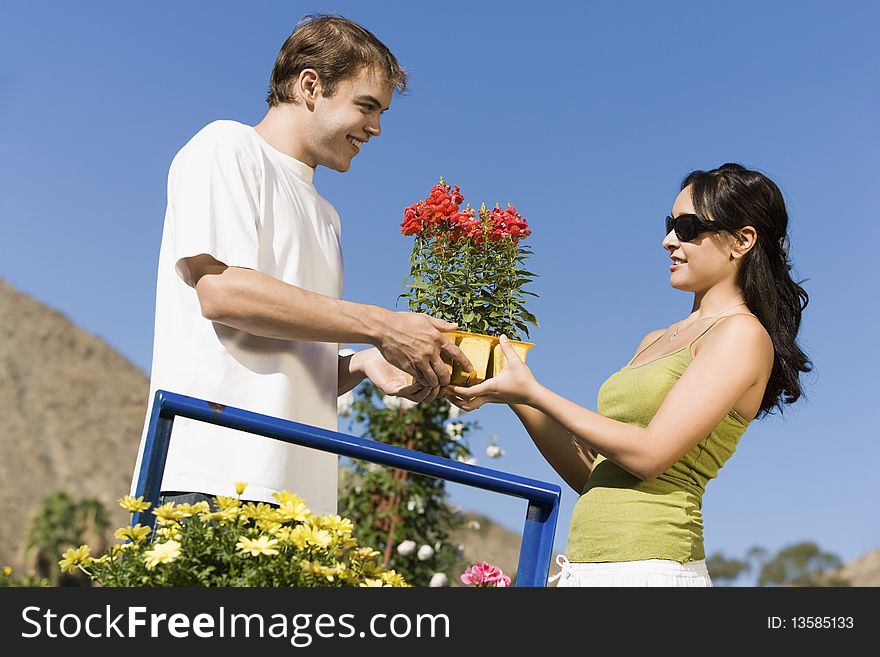 Young couple choosing potted flowers in garden centre, (low angle view)