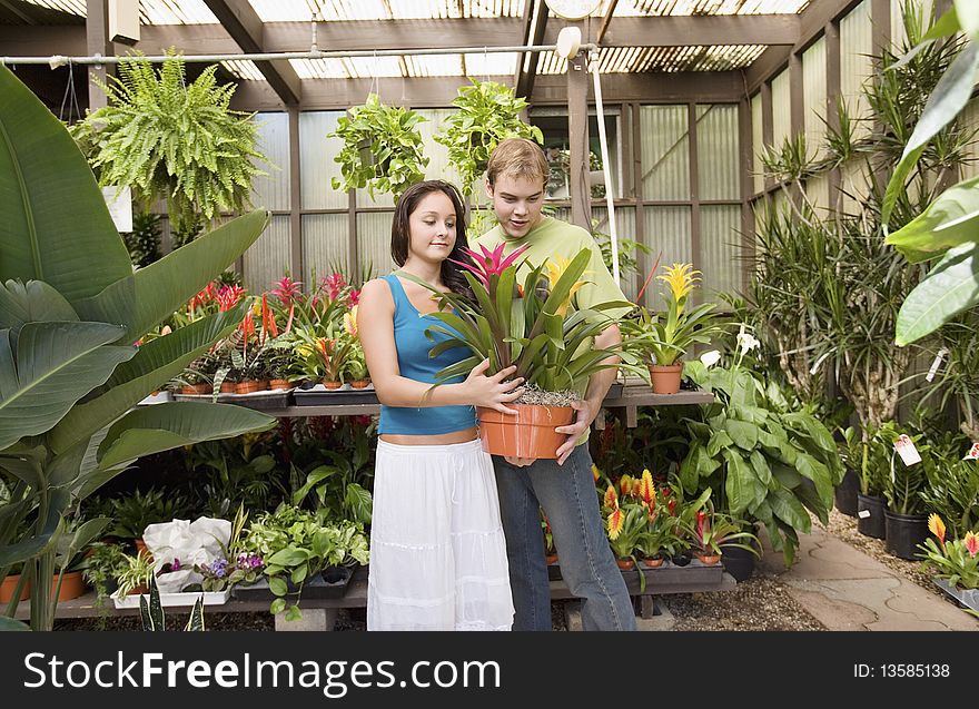 Young couple looking at exotic potted plant in greenhouse