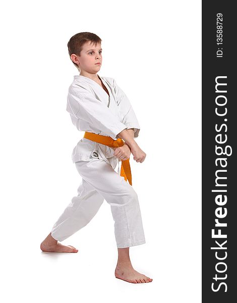 Little boy practice karate isolated on white background