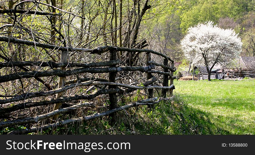 An image of small village in spring