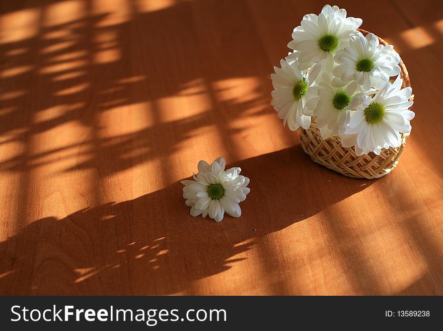 An image of white flowers on a table
