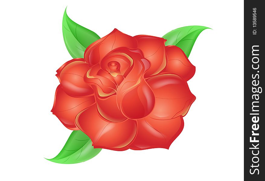 Red rose with three leaves vector