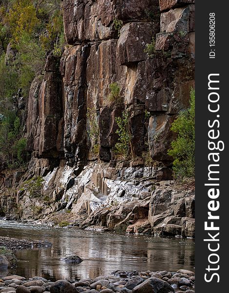 Water, Rock, River, Tree