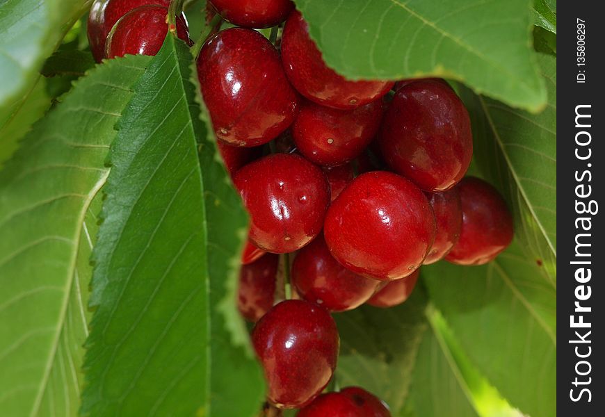 Cherry, Fruit, Berry, Natural Foods
